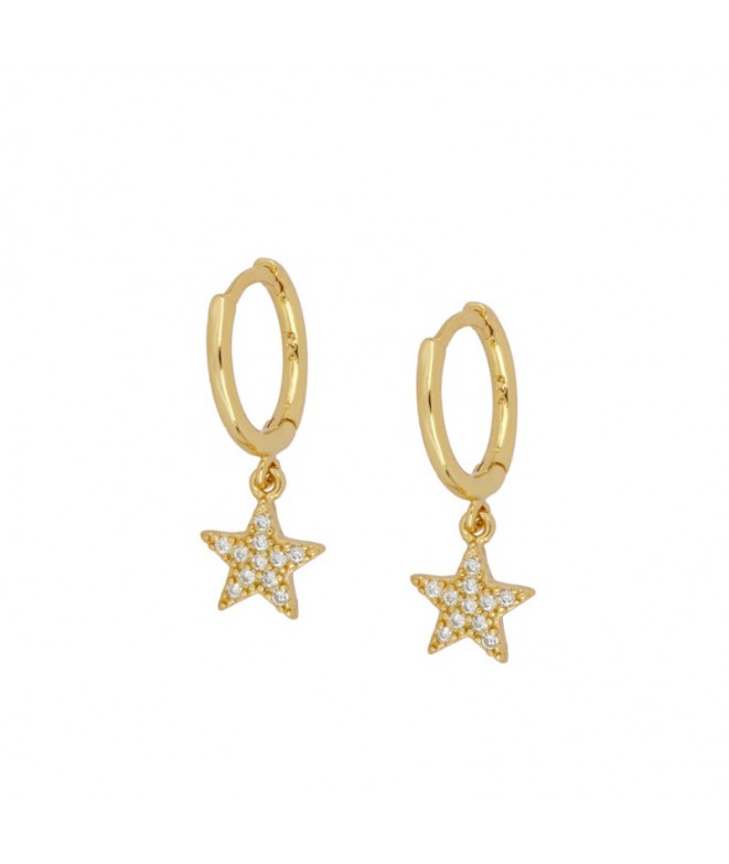 Earrings Gold White Star
