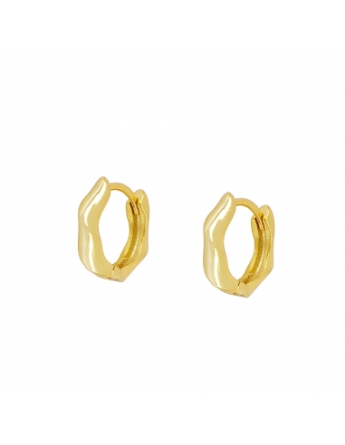Earrings Gold Torino