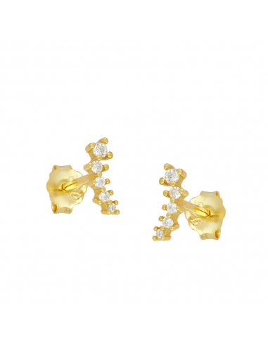 Earrings Gold Trotter