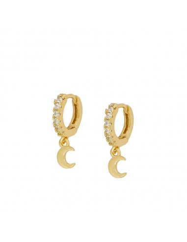 Earrings Gold Luna